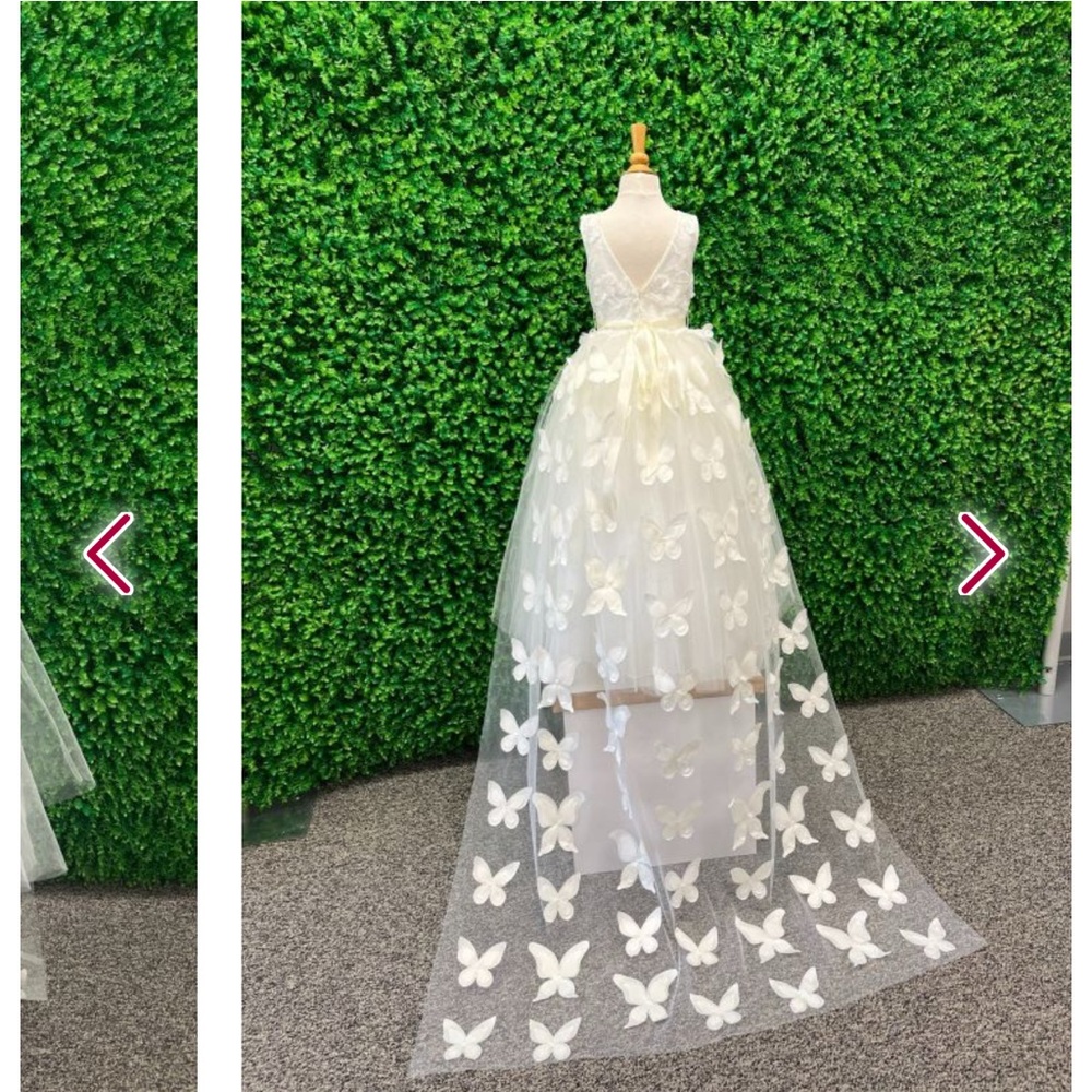 Rosebuds Flower Girl Dress with Detachable Butterfly Train, Size 6 - Picture 2 of 13